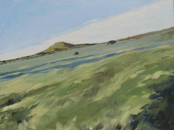 Grass