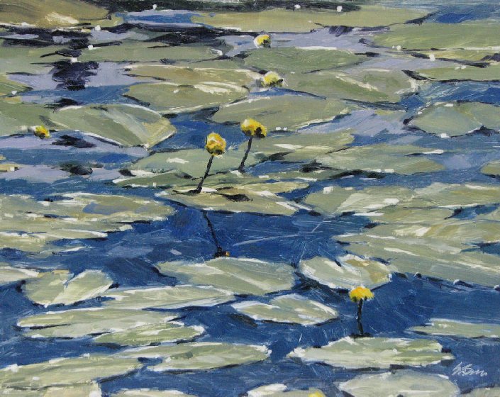 Lily Pads